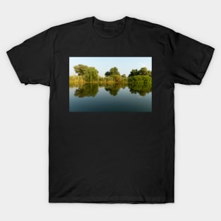 Landscape with waterline, reeds and vegetation, water reflections, in Danube Delta, Romania T-Shirt